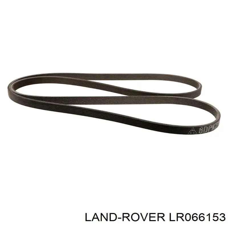 LR066153 Land Rover Correa poly v