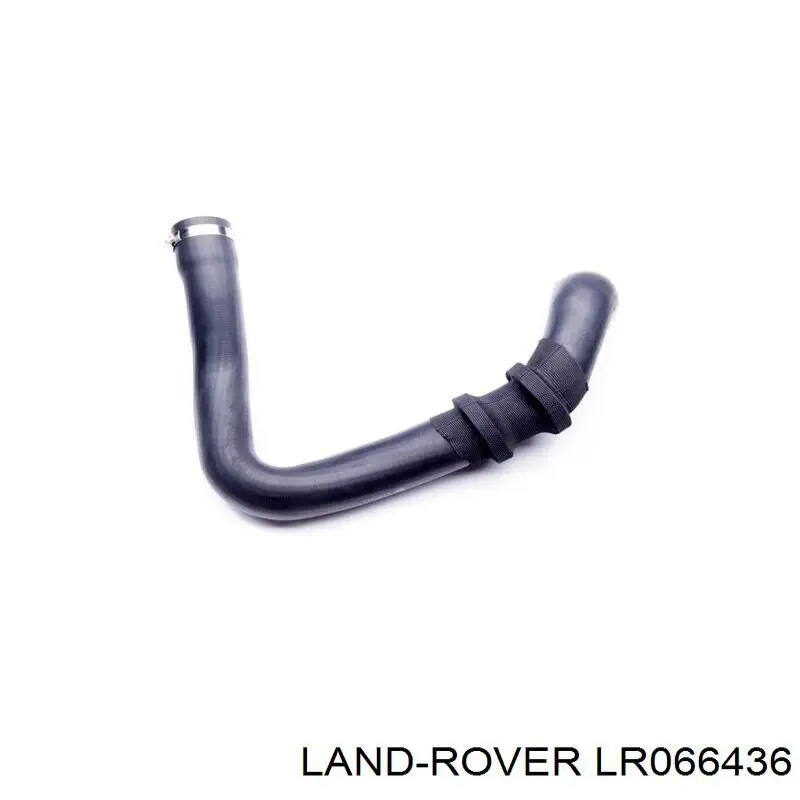 LR066436 Land Rover tubo flexible de aire de sobrealimentación derecho