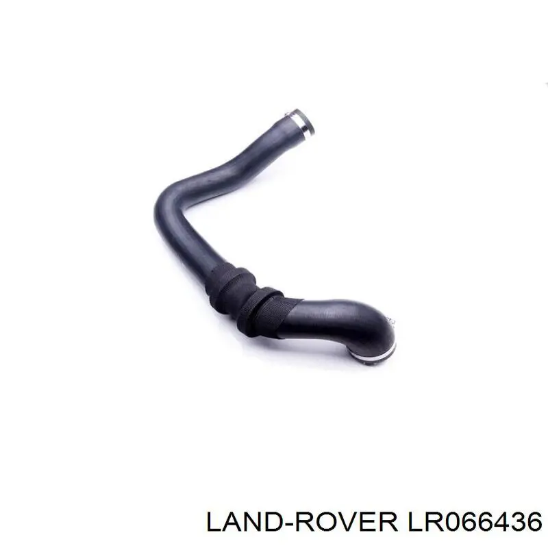 Manguera del intercooler Land Rover LR066436 precio, desde 76,32 EUR