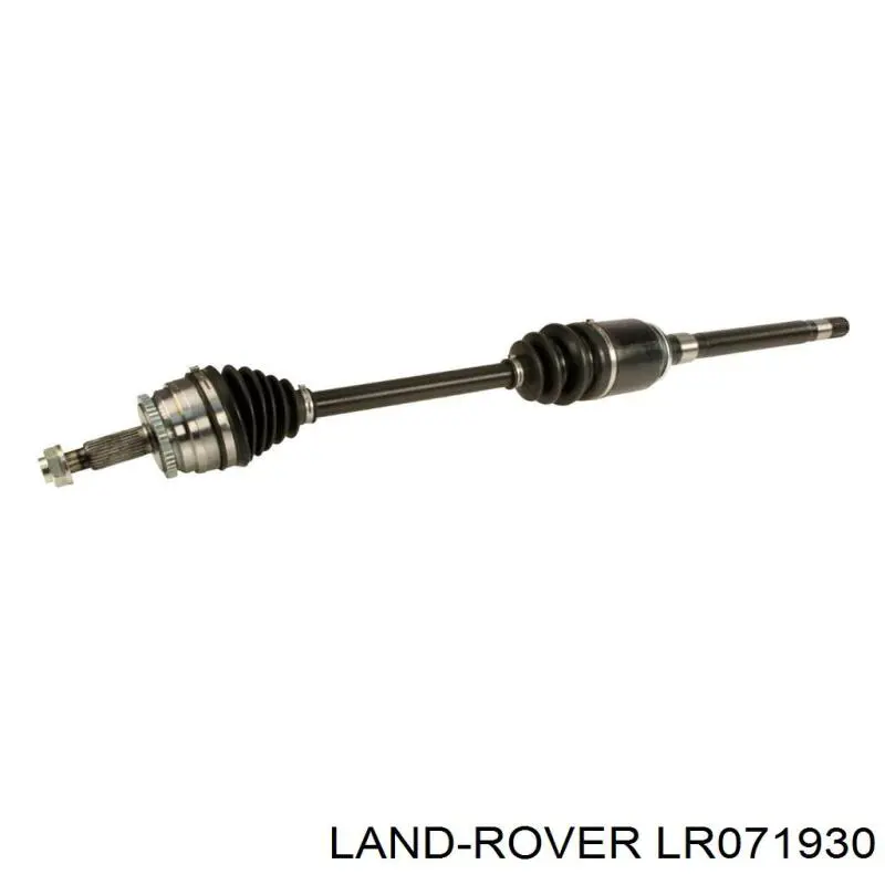 LDLR047292 Market (OEM)