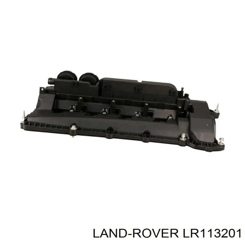 LR113201 Land Rover tapa de valvula derecha