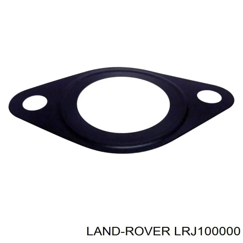 Comprar LRJ100000 Land Rover 