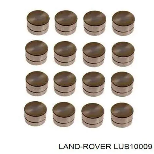 LUB10009 Land Rover sello de aceite de valvula (rascador de aceite Entrada/Salida)