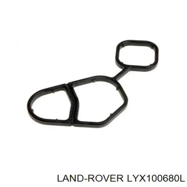  Land Rover LYX100680L