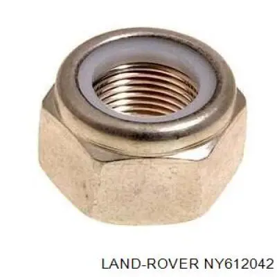 NY612041 Rover