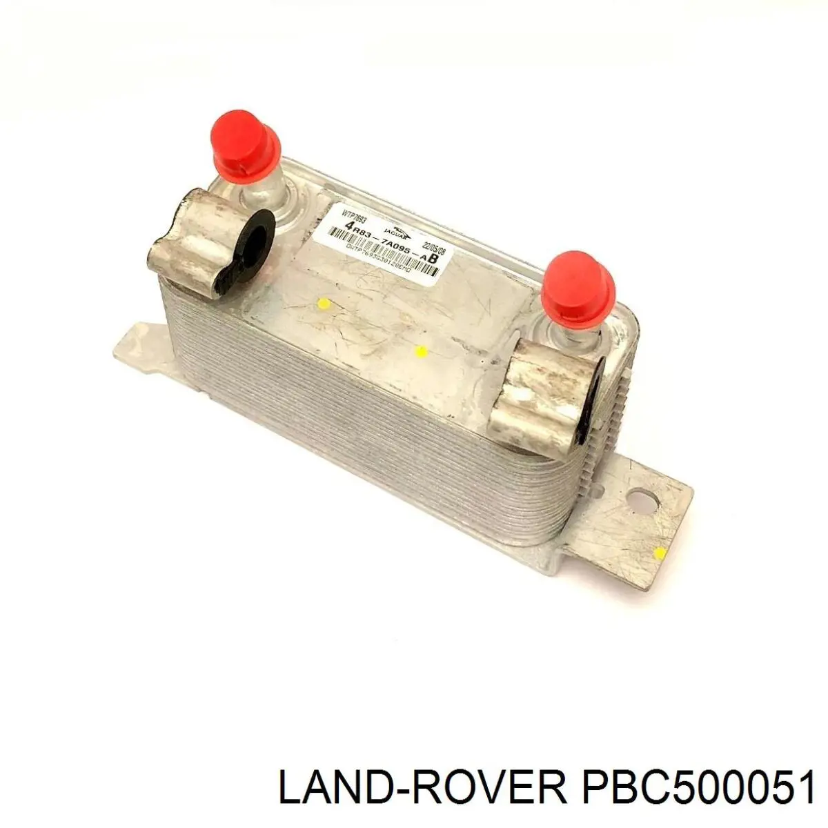 31798 NRF 