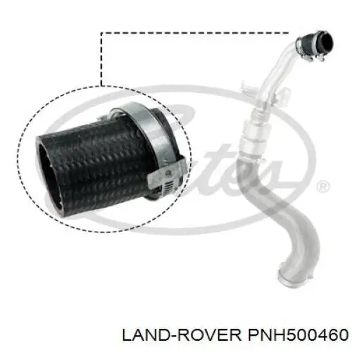 Manguera refrigerante para radiador inferiora para Land Rover Range Rover (L322)