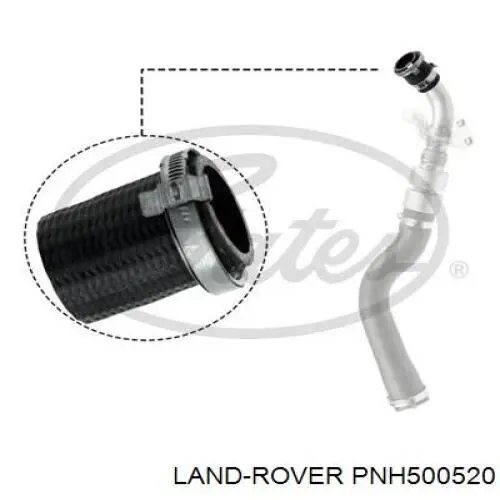 Manguera refrigerante para radiador inferiora Land Rover Range Rover 3 (L322)