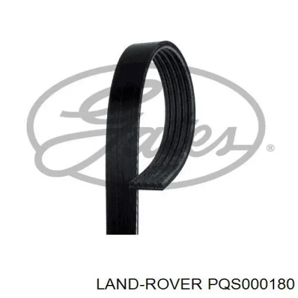 Correa de transmisión trapezoidal Ford 1087286 precio, desde 8,23 EUR