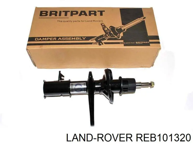 REB101320 Land Rover muelle de suspensión eje delantero