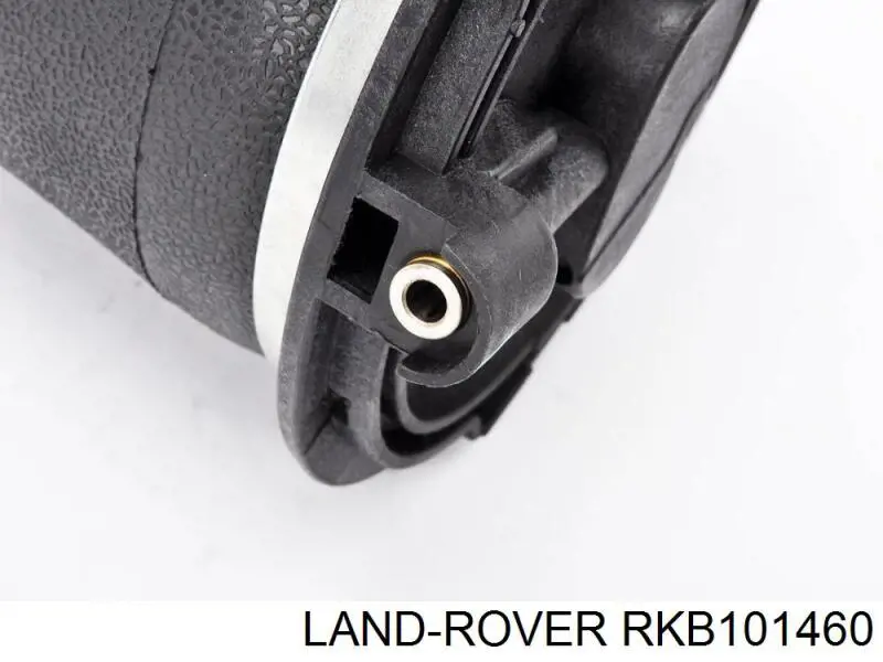 Muelle neumático, suspensión, eje trasero para Land Rover Range Rover (LP)