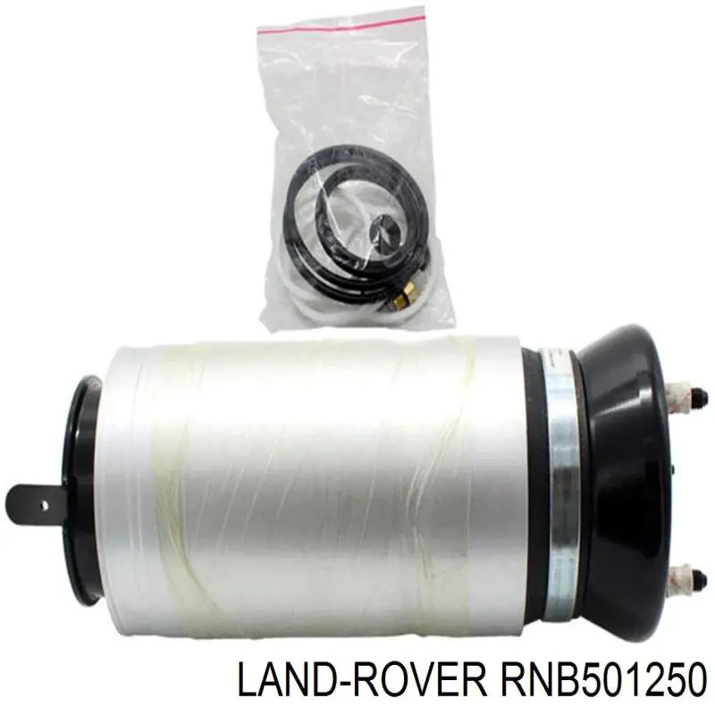 RNB501250 Land Rover amortiguador delantero