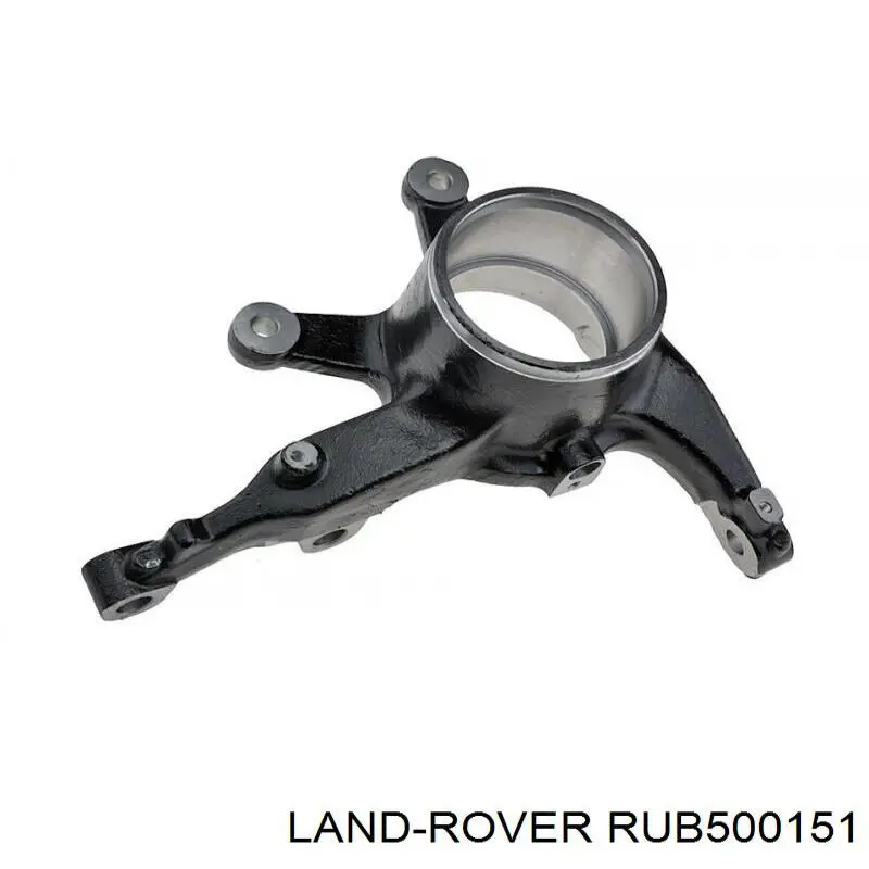 Muñón del eje, suspensión de rueda, delantero izquierdo para Land Rover Range Rover (L322)