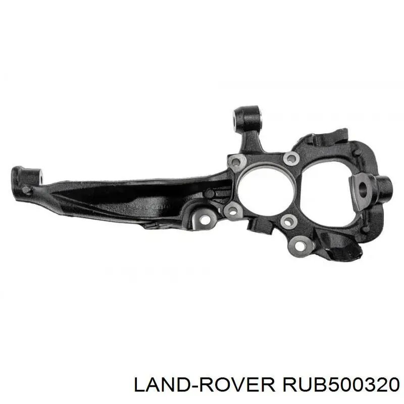 Muñón del eje, soporte de rueda, delantero derecho para Land Rover Range Rover (L320)