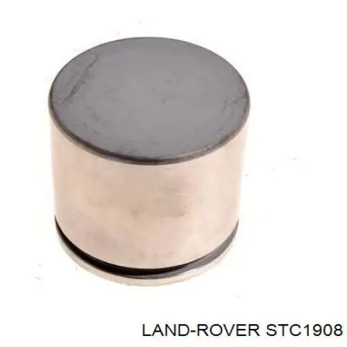 Émbolo, pinza del freno trasera para Land Rover Discovery (LJ ,LT)