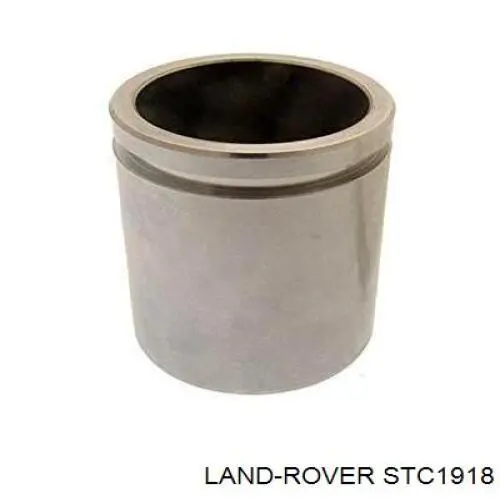 Émbolo de la pinza de freno delantera Land Rover STC1918 precio, desde 10,44 EUR
