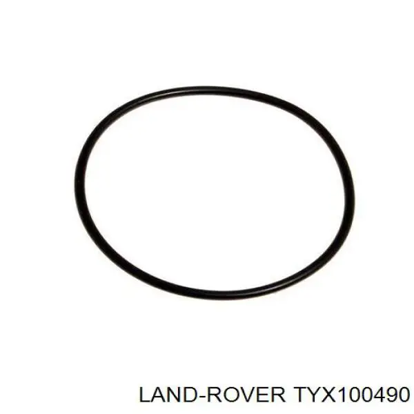 TYX100490 Land Rover