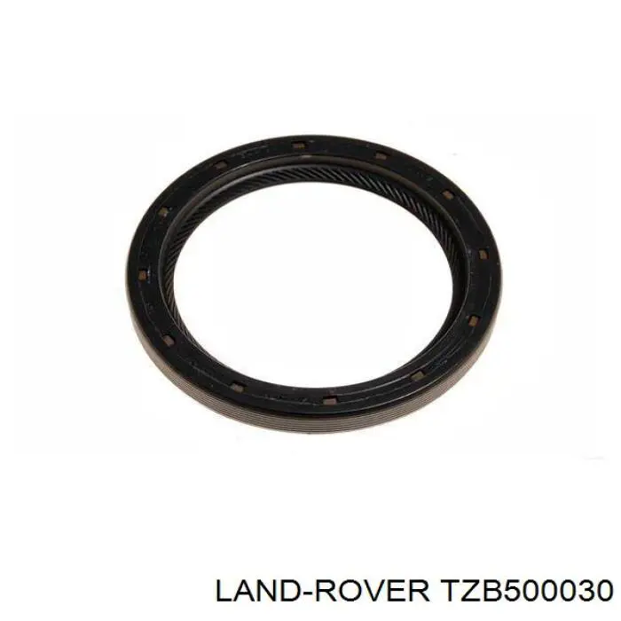 Retén del eje primario de la transmisión ZF Parts 734319695 precio, desde 9,90 EUR
