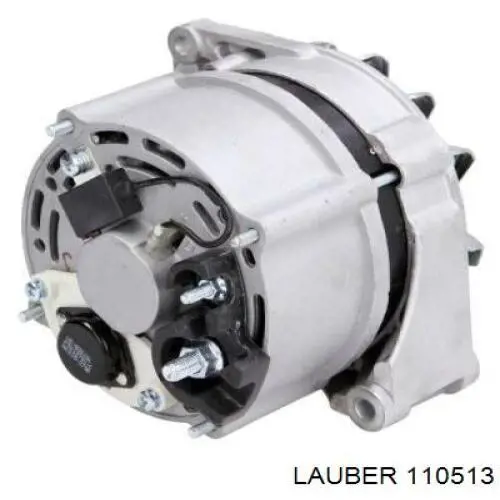 110513 Lauber alternador