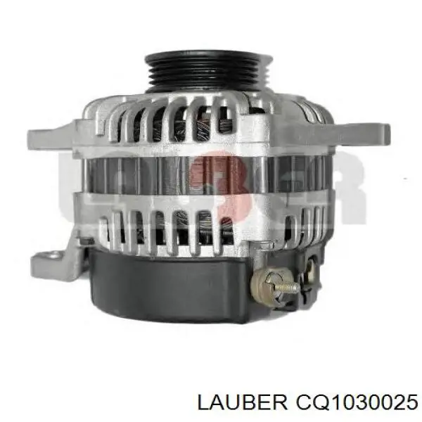 Escobillas alternador 940113190038 Magneti Marelli