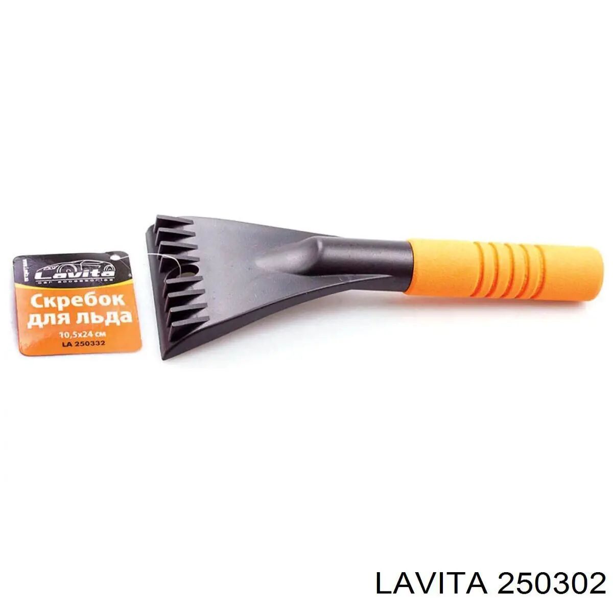 250302 Lavita