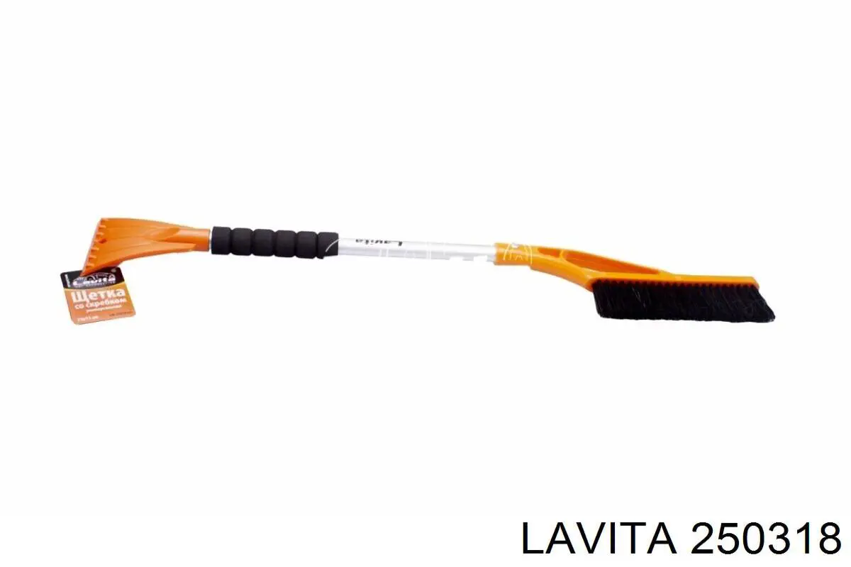 250318 Lavita