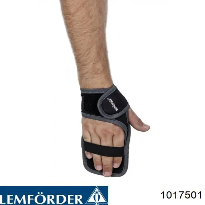 10175 Lemforder Buje del brazo de suspensión delantero superior