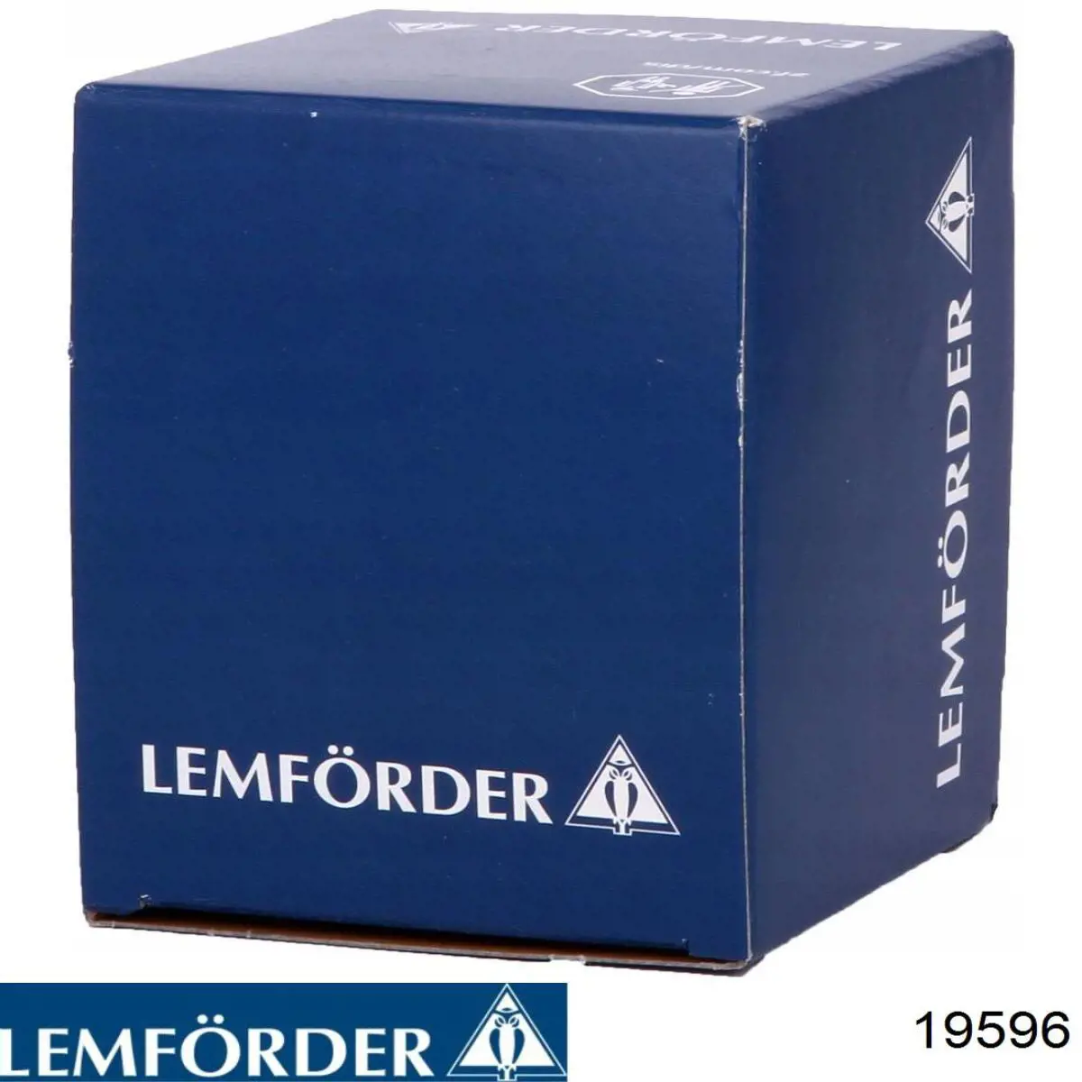 19596 Lemforder