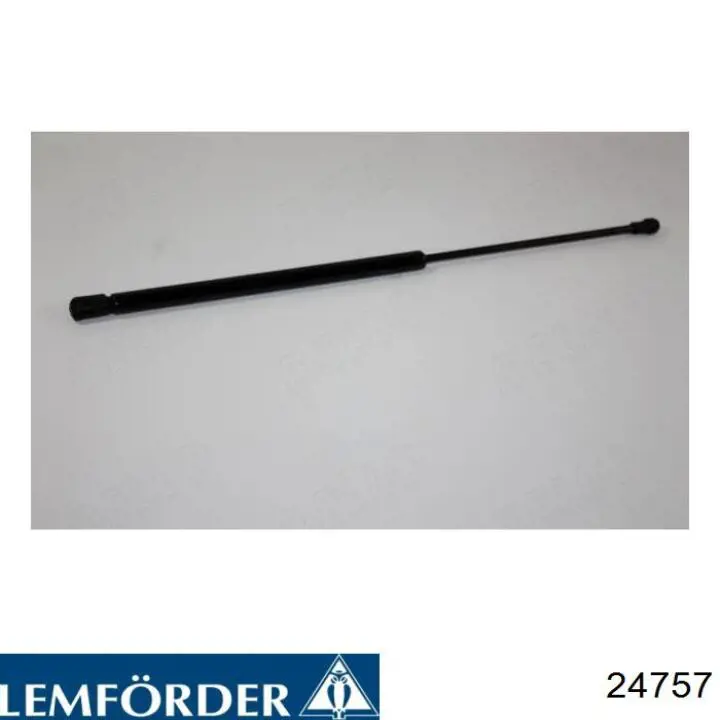 24757 Lemforder Soporte de motor izquierdo