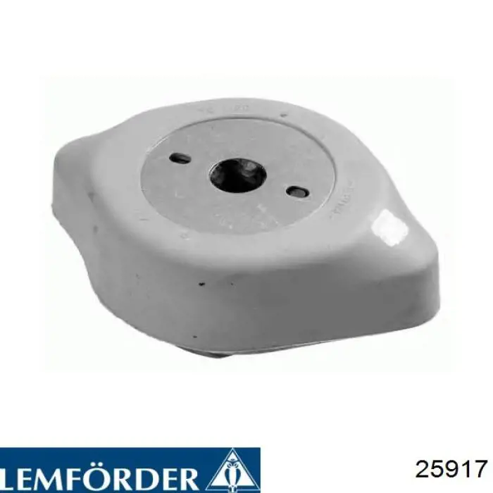 25917 Lemforder montaje de transmision (montaje de caja de cambios)