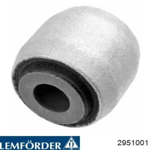 Comprar 2951001 Lemforder Buje de mangueta trasera