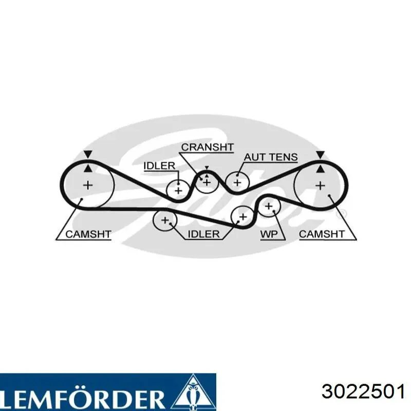 3022501 Lemforder Guardapolvo dirección