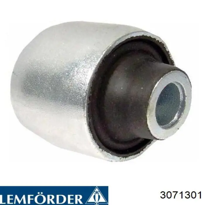 Buje de mangueta trasera 3071301 Lemforder