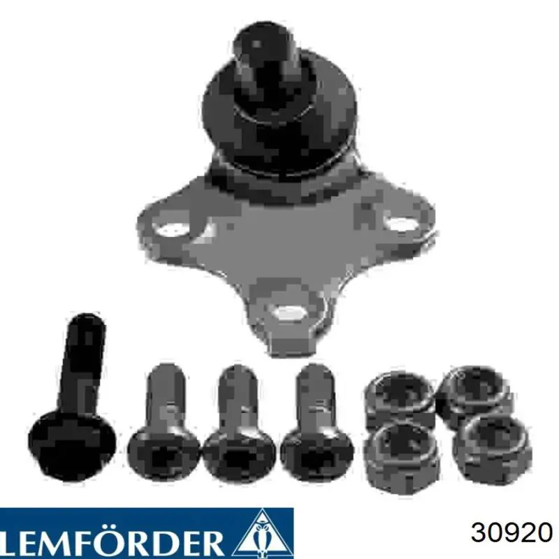 30920 Lemforder bota de direccion izquierda (cremallera)