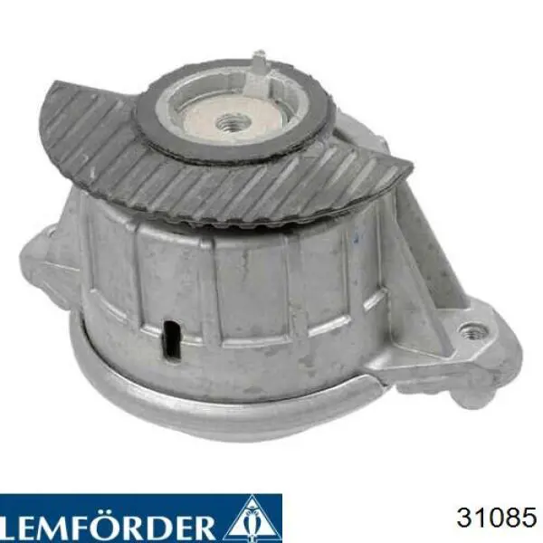 081043 Cautex Soporte de motor derecho