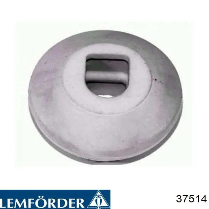  37514 Lemforder