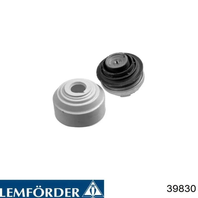 39830 Lemforder
