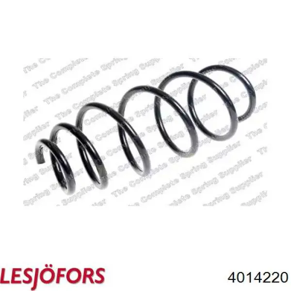 VKDL31352 SKF Muelle delantero