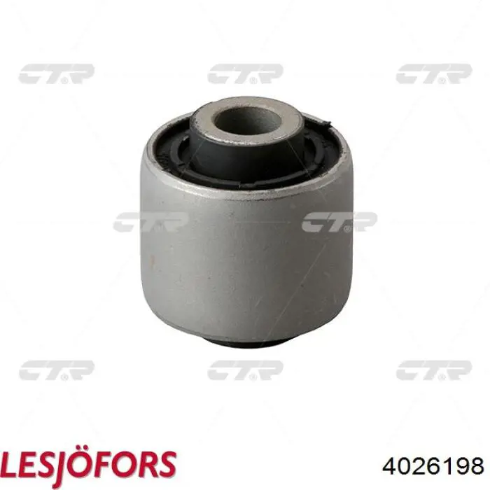 Comprar 4026198 Lesjofors Muelle delantero
