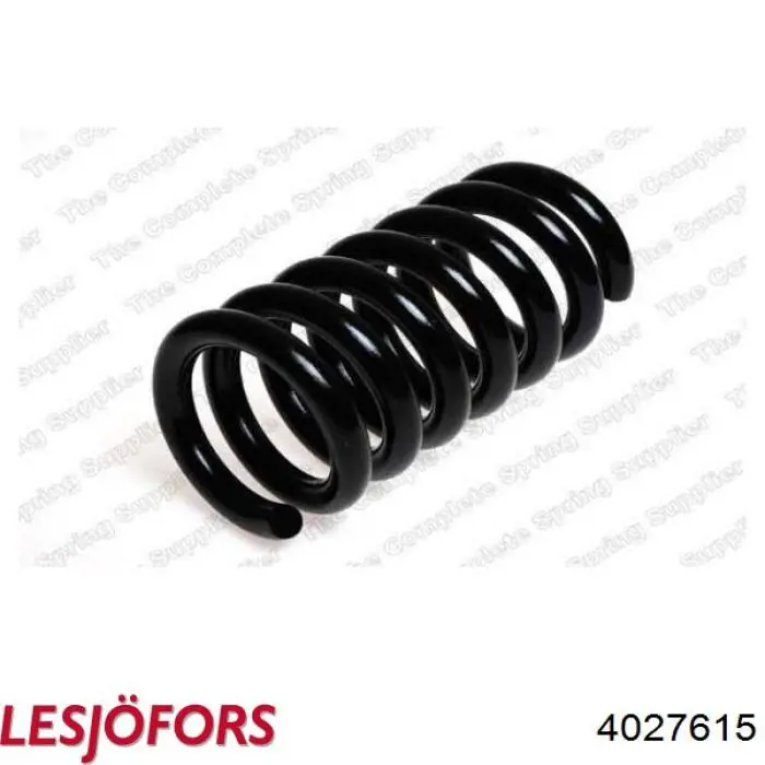 4027615 Lesjofors Muelle delantero