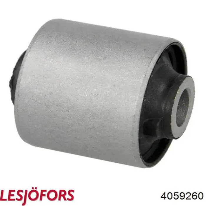 4059260 Lesjofors Muelle delantero