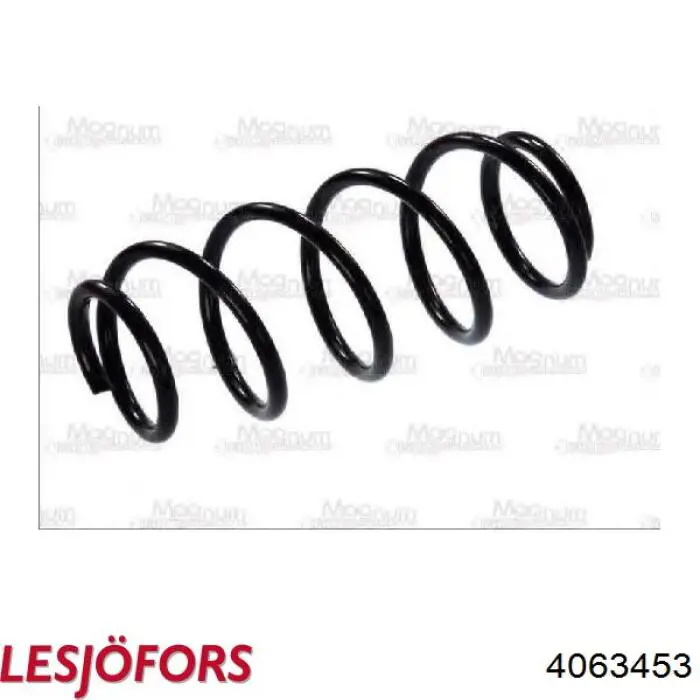Muelle delantero Lesjofors 4063453 precio, desde 27,71 EUR