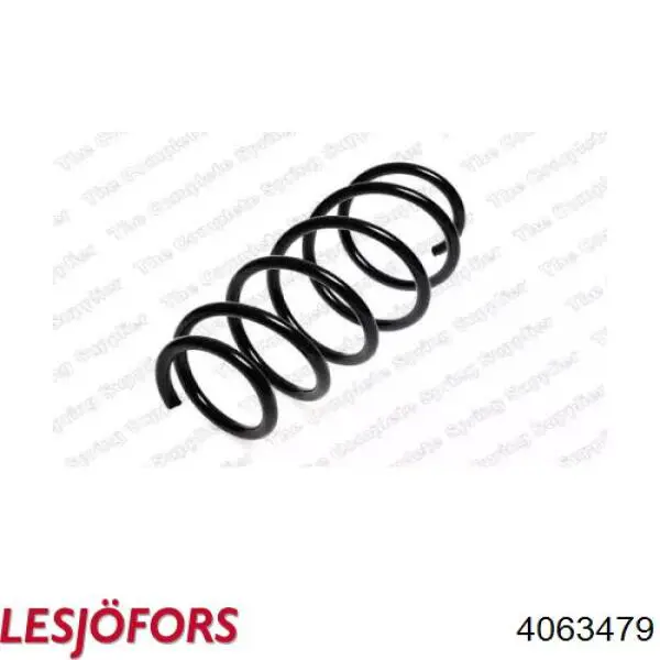 4063479 Lesjofors Muelle delantero