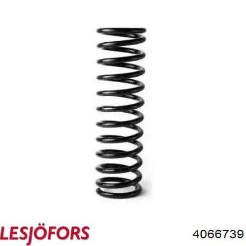 Comprar 4066739 Lesjofors Muelle delantero