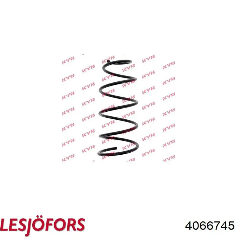 00005002AC Peugeot/Citroen Muelle delantero
