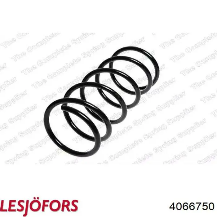 Comprar 4066750 Lesjofors Muelle delantero