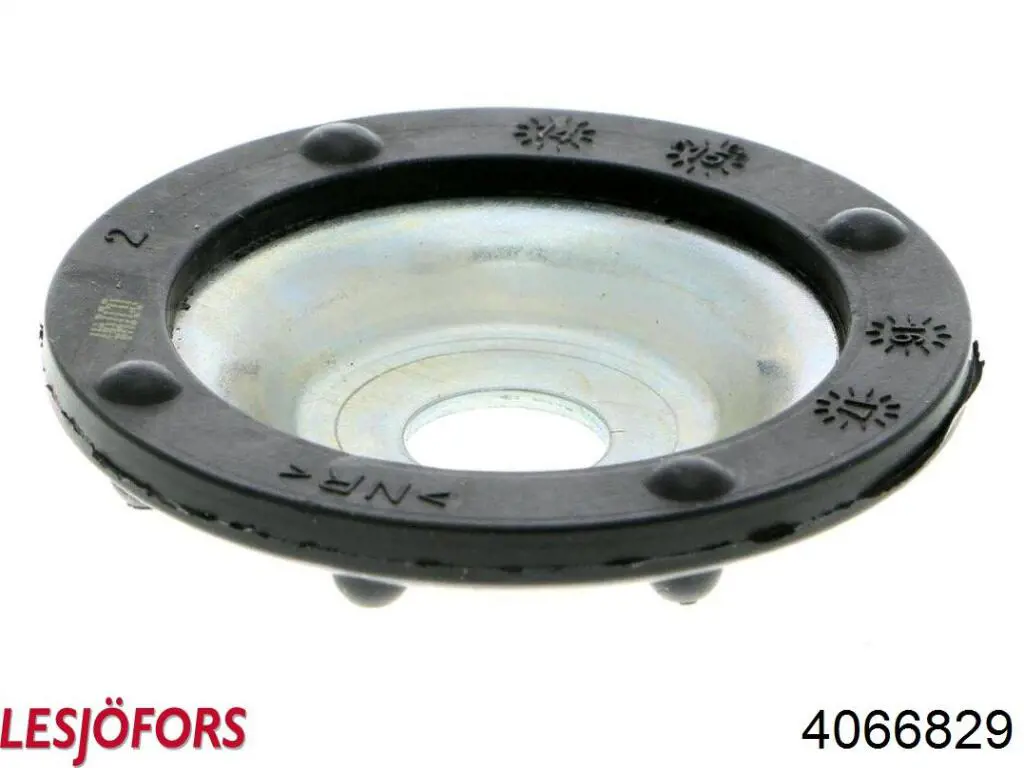 Muelles delantero Kayaba RA1080