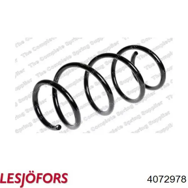 4072978 Lesjofors Muelle delantero