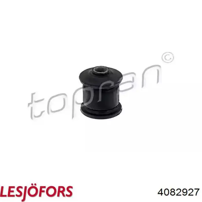 Muelle delantero Lesjofors 4082927 precio, desde 42,46 EUR