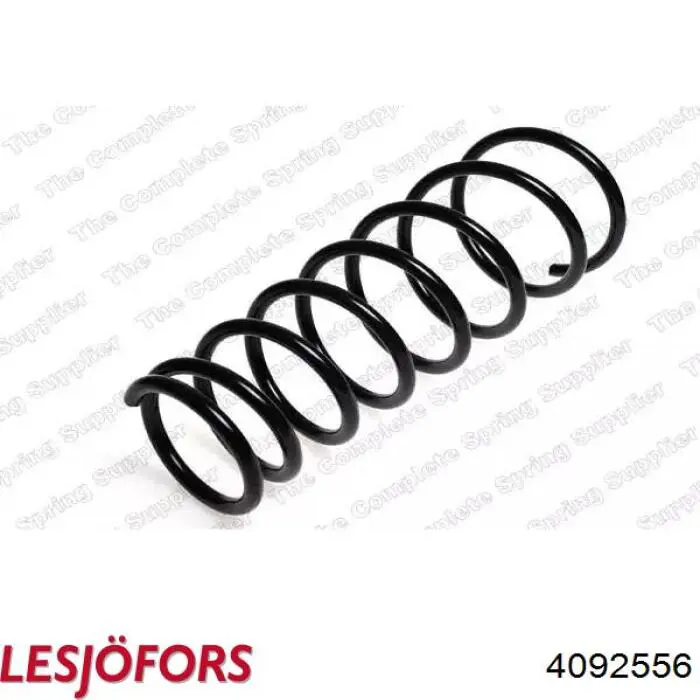 4092556 Lesjofors Muelle delantero